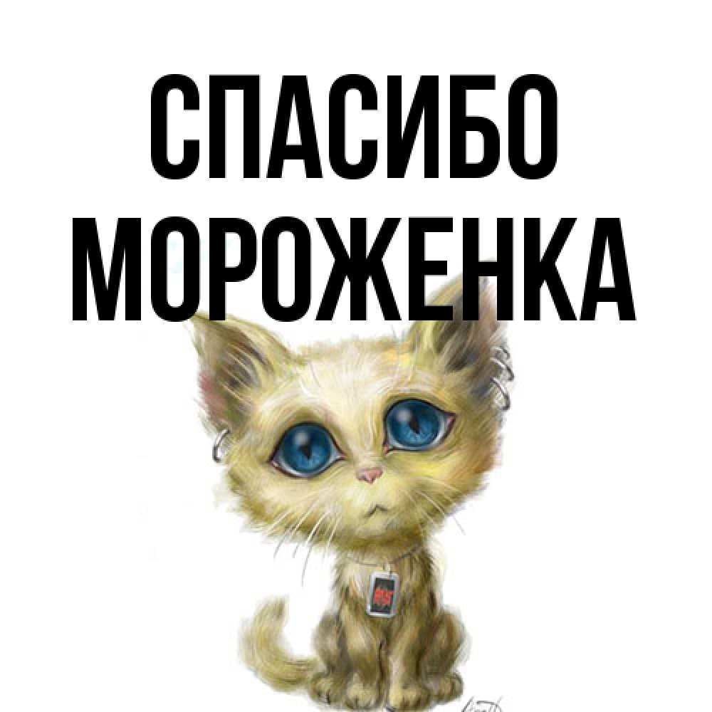 Открытка на каждый день с именем, Мороженка Спасибо рисованный кот благодарит вас Прикольная открытка с пожеланием онлайн скачать бесплатно 