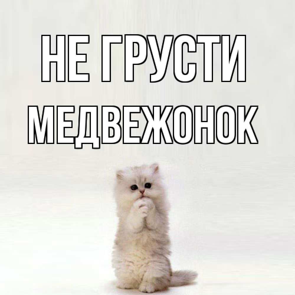 Открытка на каждый день с именем, медвежонок Не грусти грустный кот Прикольная открытка с пожеланием онлайн скачать бесплатно 