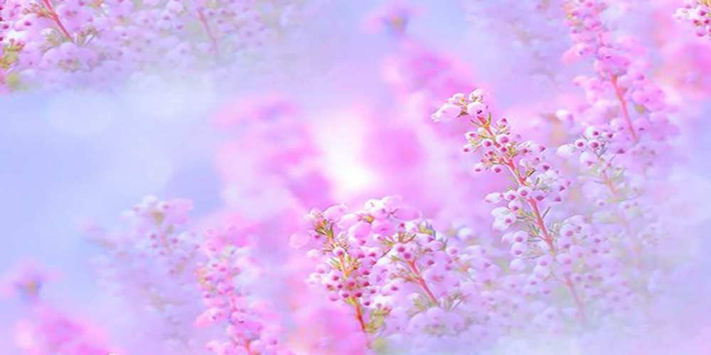 Открытка на каждый день с именем, Армен С днем рождения красивая открытка с мелкими цветами Прикольная открытка с пожеланием онлайн скачать бесплатно 