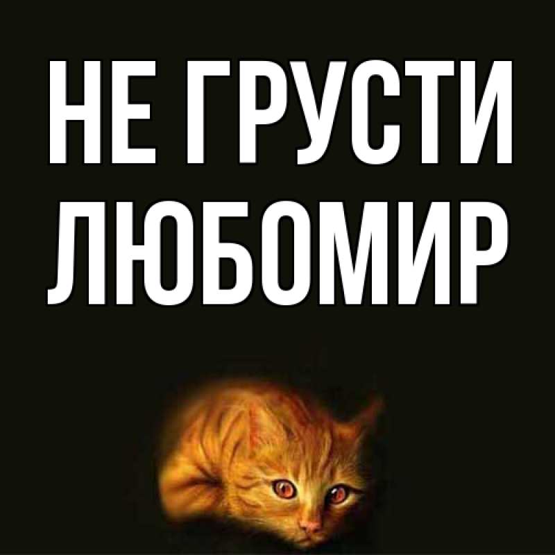 Картинка Не грусти, Любомир