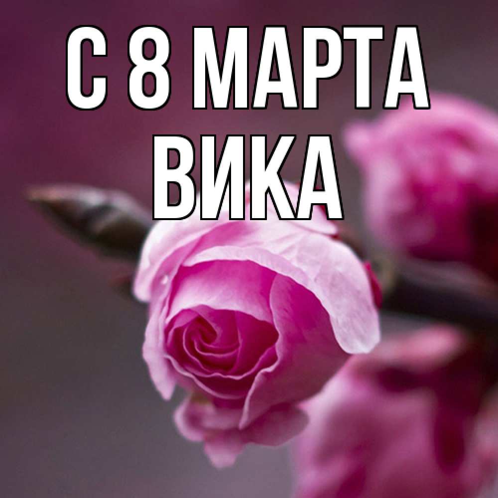 Открытка на каждый день с именем, Вика C 8 МАРТА весна Прикольная открытка с пожеланием онлайн скачать бесплатно 