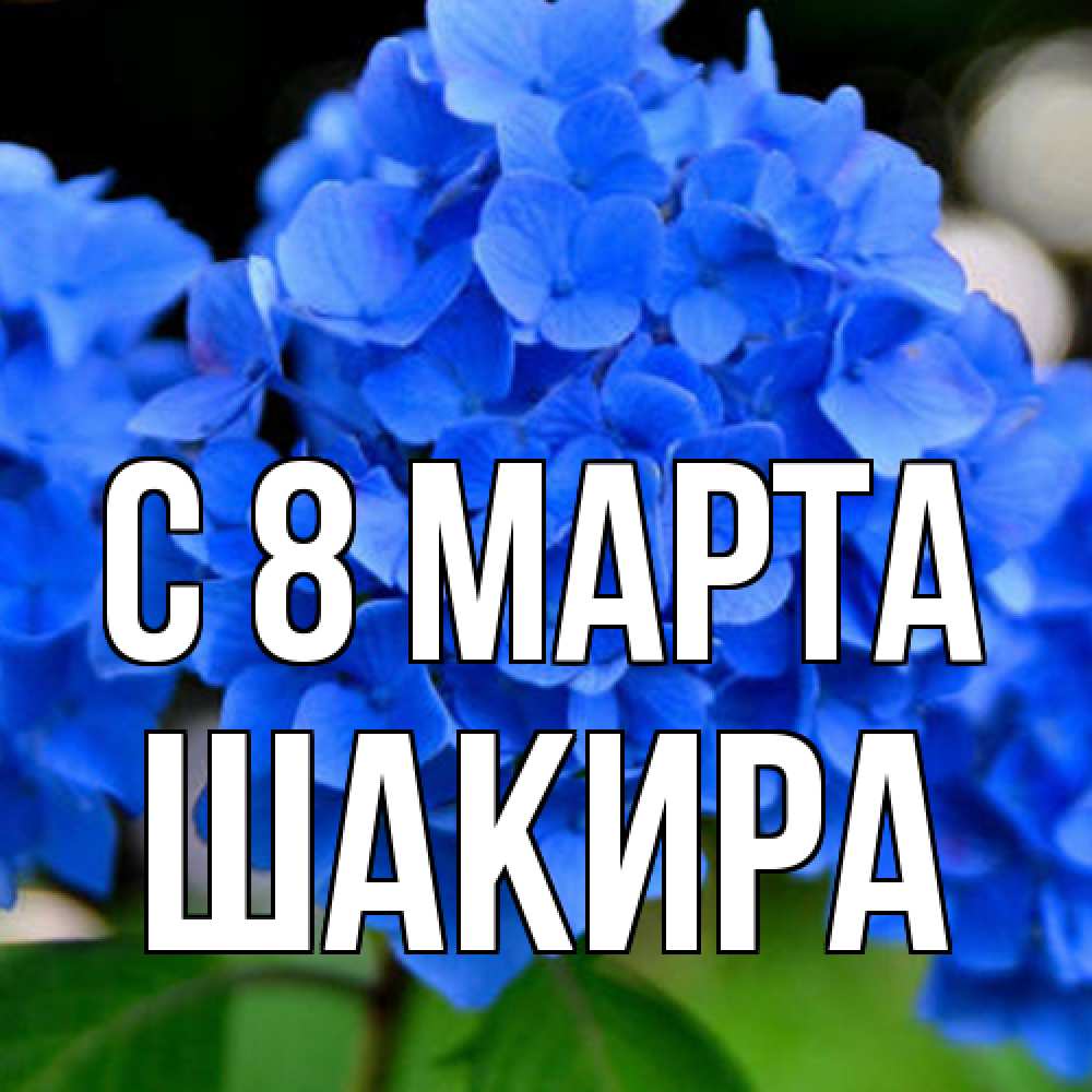 Открытка на каждый день с именем, Шакира C 8 МАРТА синие цветы Прикольная открытка с пожеланием онлайн скачать бесплатно 