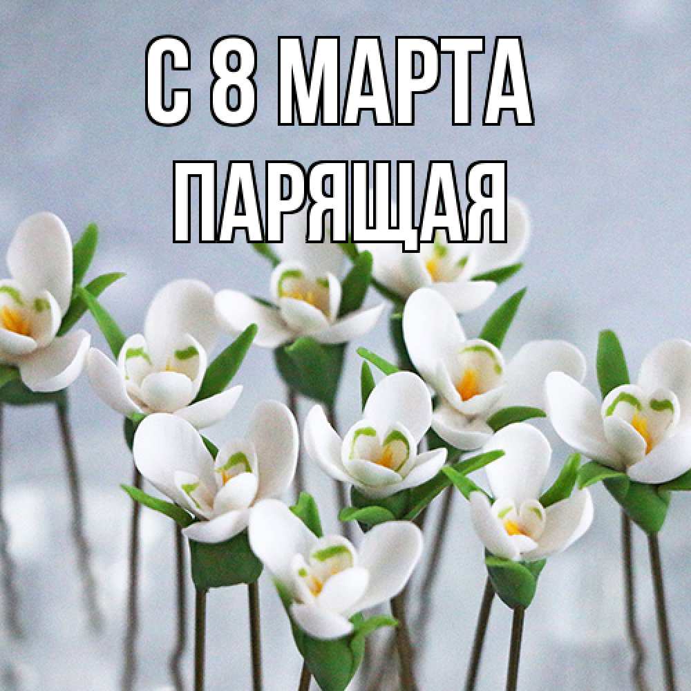 Открытка на каждый день с именем, Парящая C 8 МАРТА весенние цветы Прикольная открытка с пожеланием онлайн скачать бесплатно 