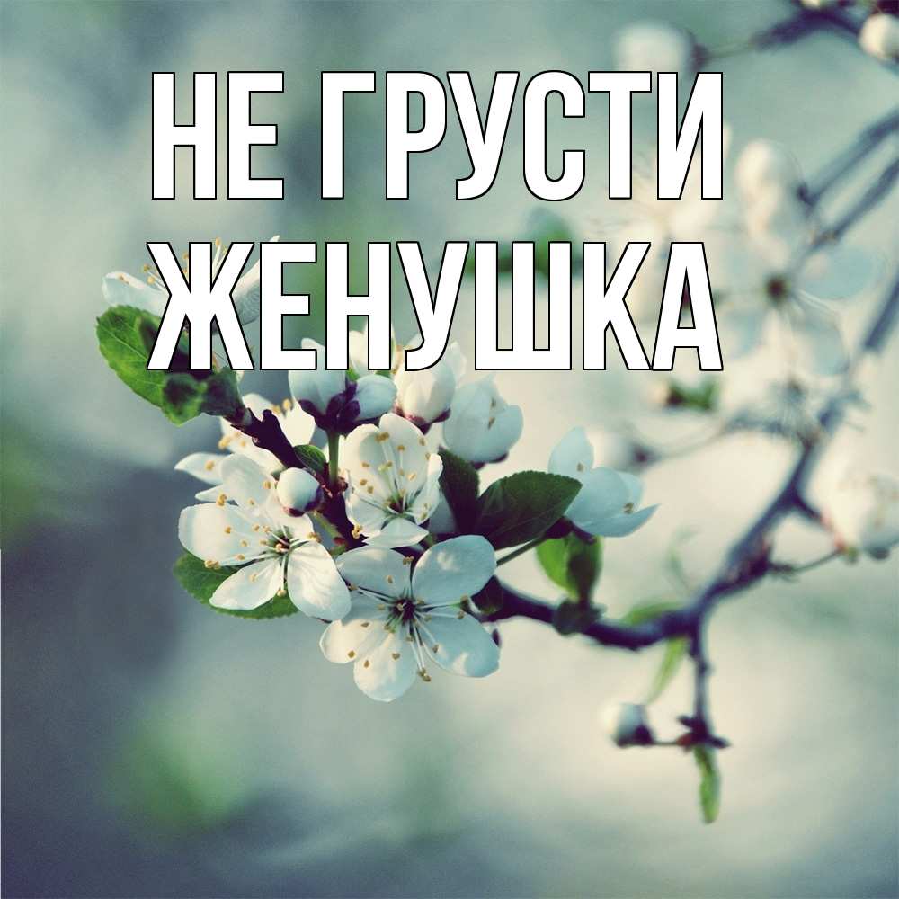 Открытка на каждый день с именем, женушка Не грусти яблоня в цвету 1 Прикольная открытка с пожеланием онлайн скачать бесплатно 