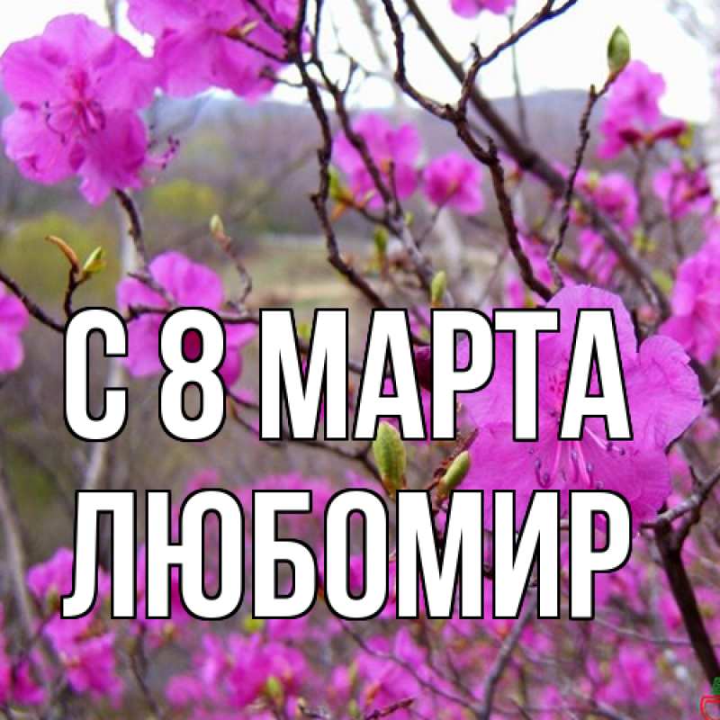 Картинка C 8 МАРТА, Любомир