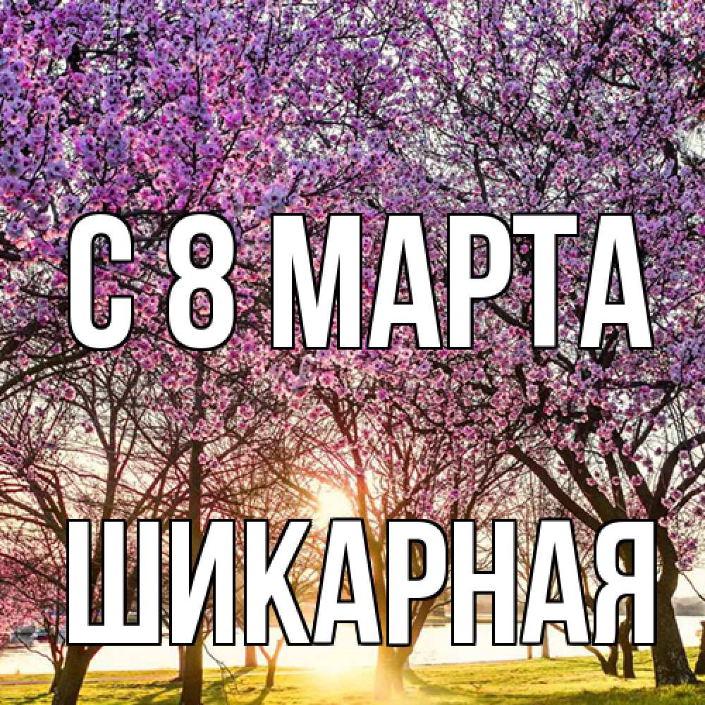 Открытка на каждый день с именем, шикарная C 8 МАРТА международный женский день Прикольная открытка с пожеланием онлайн скачать бесплатно 