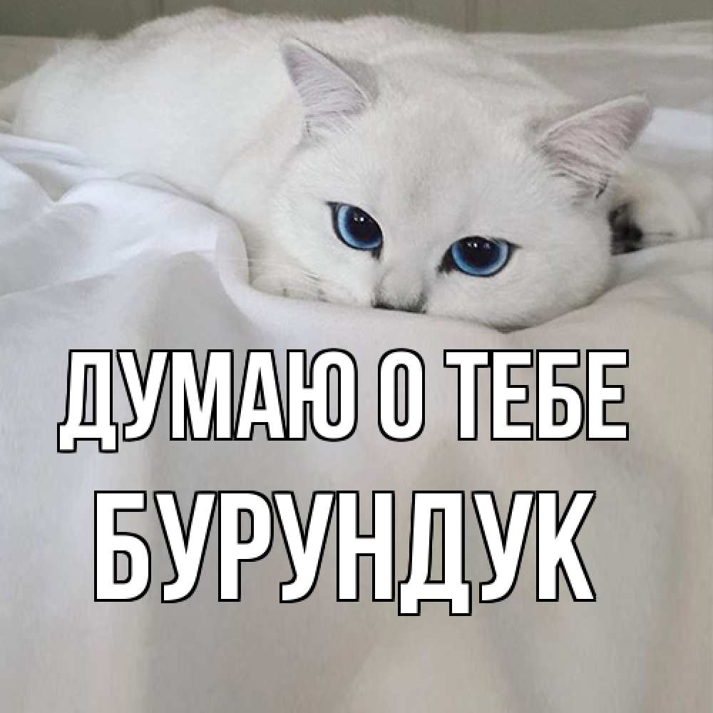 Открытка на каждый день с именем, Бурундук Думаю о тебе я очень по тебе скучаю и тоскую Прикольная открытка с пожеланием онлайн скачать бесплатно 