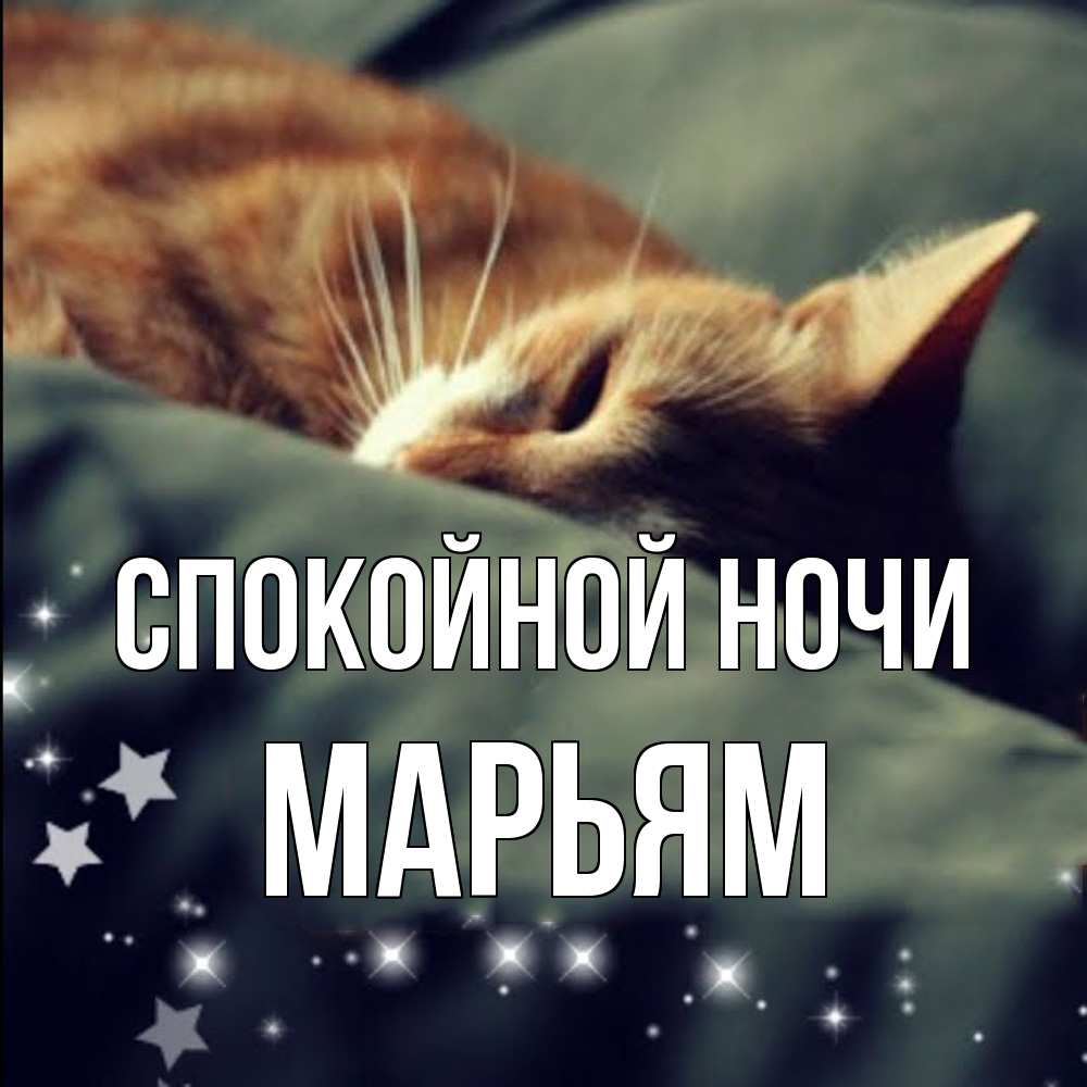 Открытка на каждый день с именем, Марьям Спокойной ночи кроватка Прикольная открытка с пожеланием онлайн скачать бесплатно 