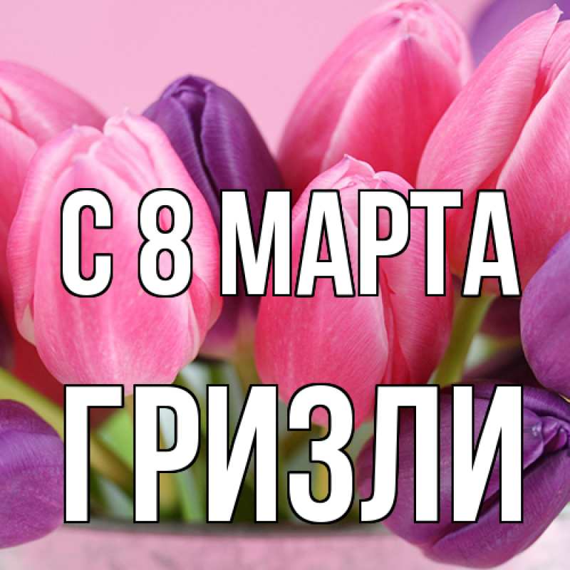Картинка C 8 МАРТА, Гризли