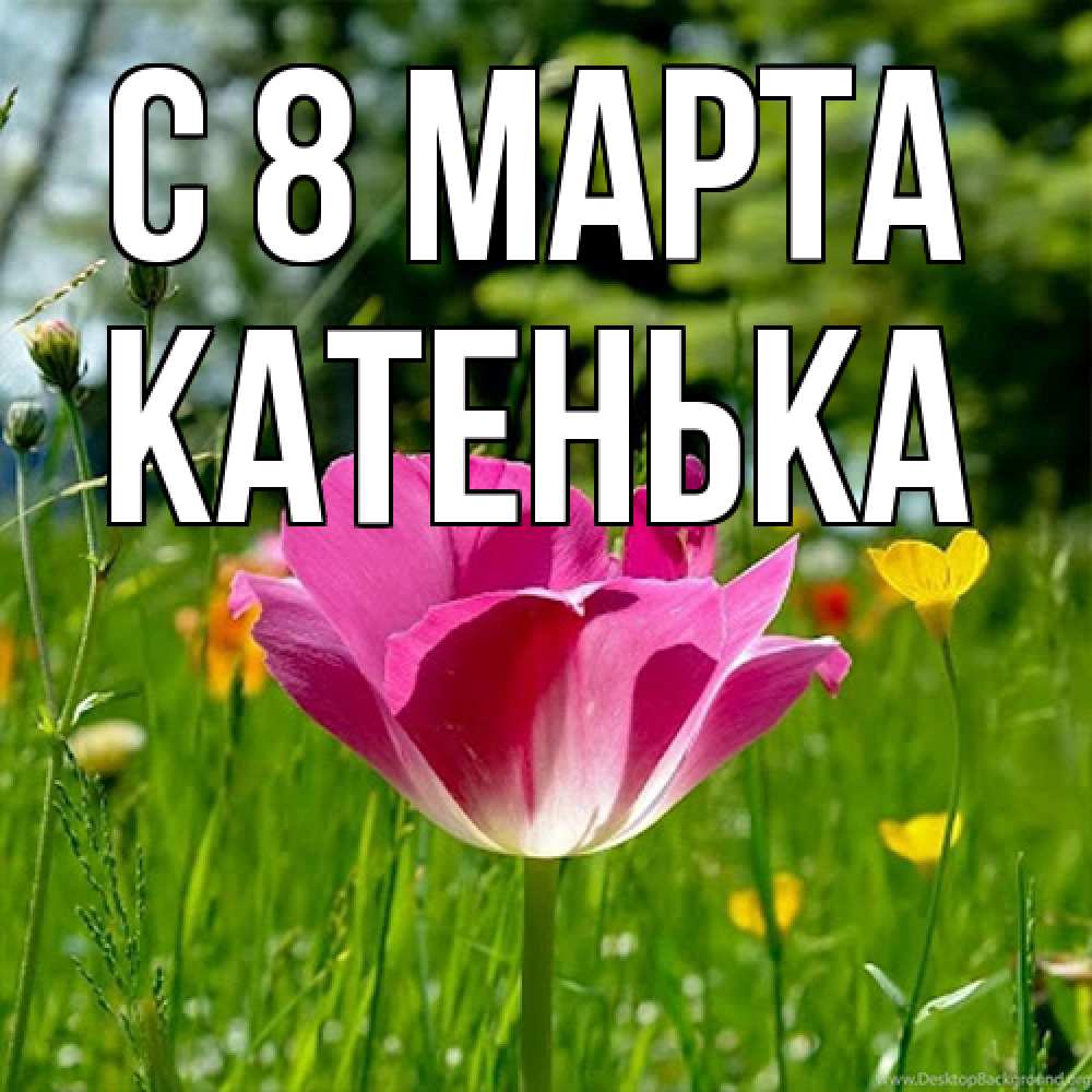 Открытка на каждый день с именем, Катенька C 8 МАРТА полевые цветы Прикольная открытка с пожеланием онлайн скачать бесплатно 