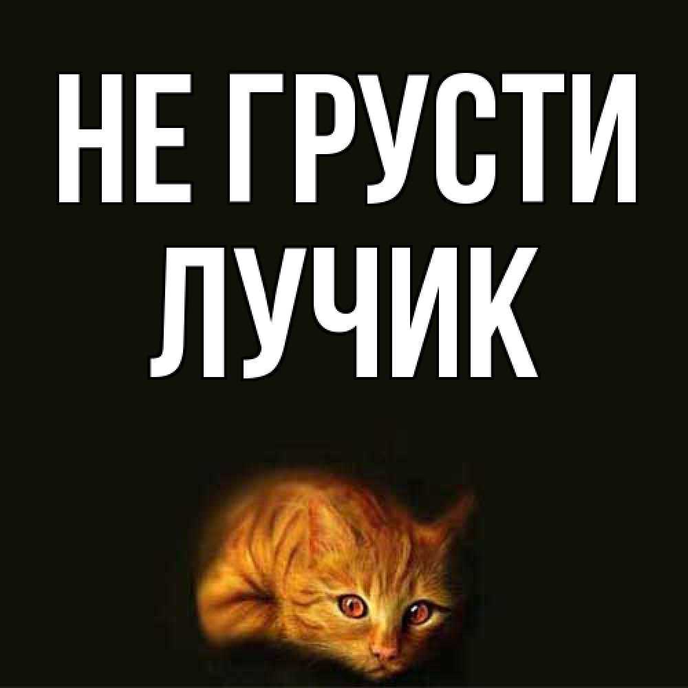 Открытка на каждый день с именем, Лучик Не грусти лежащий кот в темноте Прикольная открытка с пожеланием онлайн скачать бесплатно 
