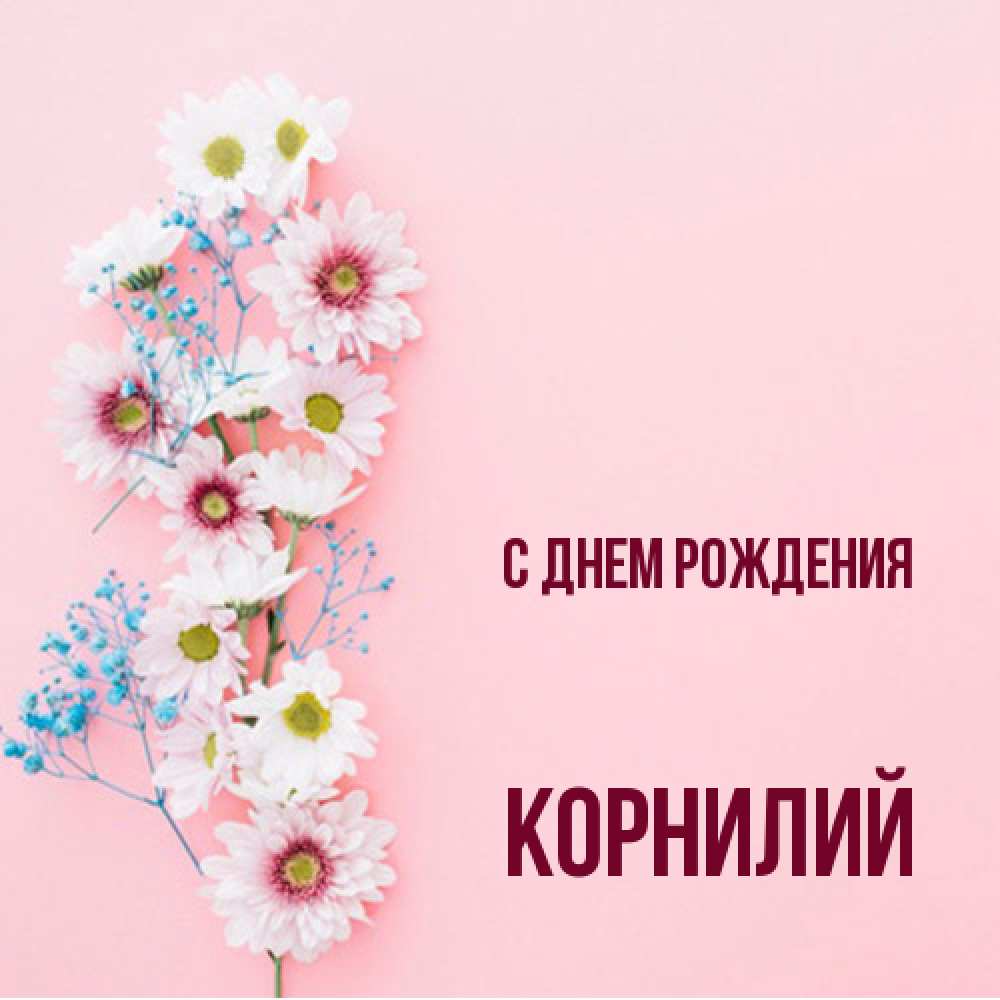 Открытка на каждый день с именем, Корнилий С днем рождения Родная моя с днем рождения тебя картинка с цветами белыми и голубыми Прикольная открытка с пожеланием онлайн скачать бесплатно 