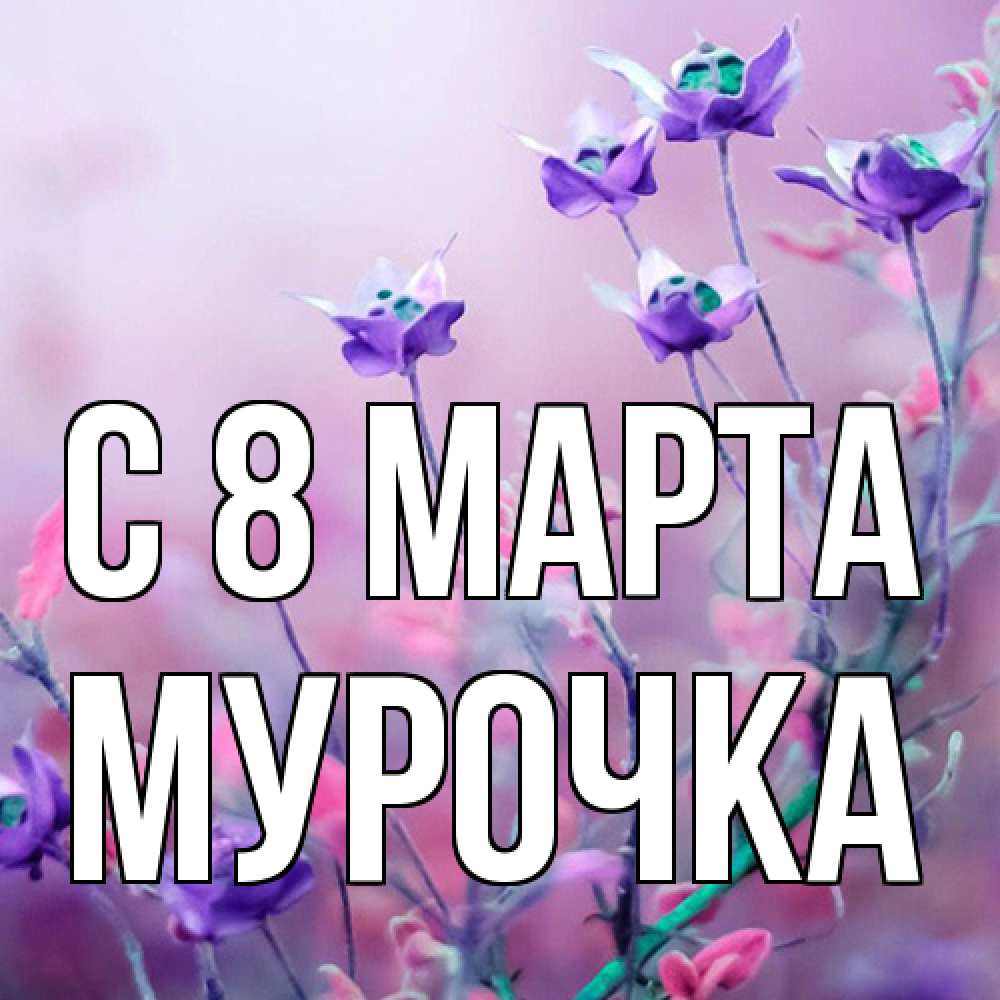 Открытка на каждый день с именем, Мурочка C 8 МАРТА международный женский день 2 Прикольная открытка с пожеланием онлайн скачать бесплатно 