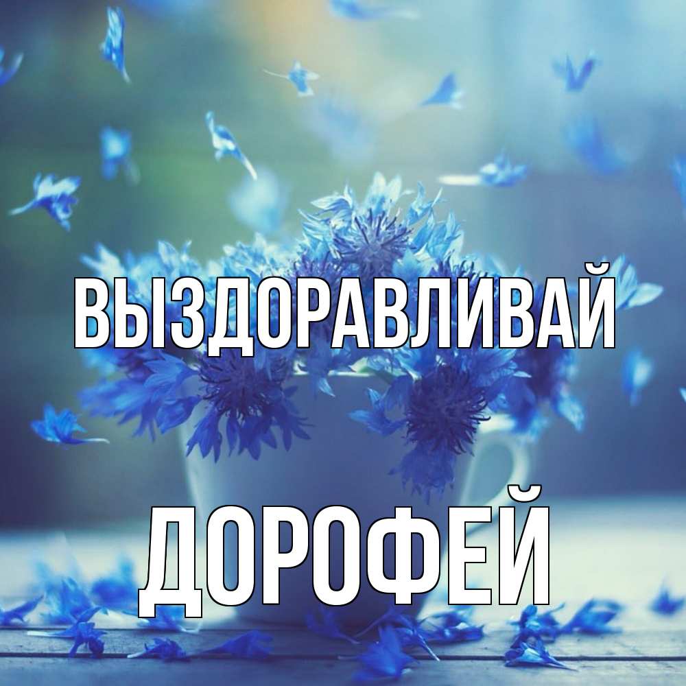 Открытка на каждый день с именем, Дорофей Выздоравливай кружка с зельем и цветами Прикольная открытка с пожеланием онлайн скачать бесплатно 