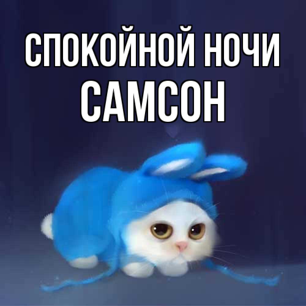 Открытка на каждый день с именем, Самсон Спокойной ночи кот в голубом костюме кролика с ушками Прикольная открытка с пожеланием онлайн скачать бесплатно 