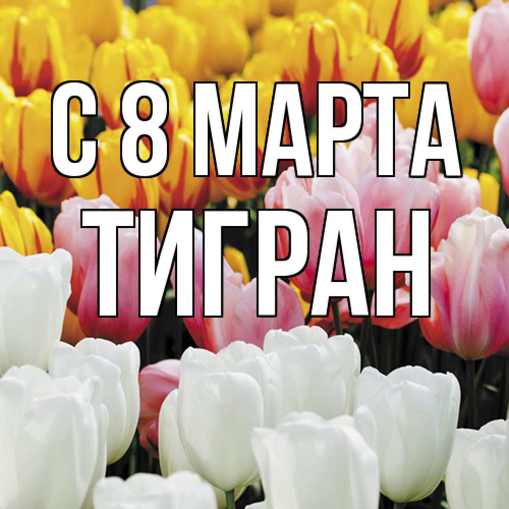 Открытка на каждый день с именем, Тигран C 8 МАРТА разноцветные цветы Прикольная открытка с пожеланием онлайн скачать бесплатно 