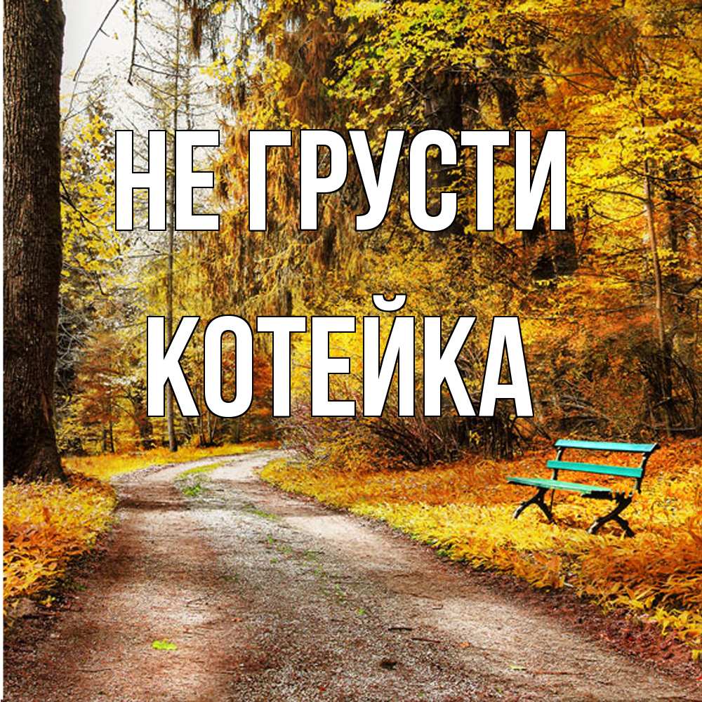 Открытка на каждый день с именем, Котейка Не грусти зеленая лавочка Прикольная открытка с пожеланием онлайн скачать бесплатно 