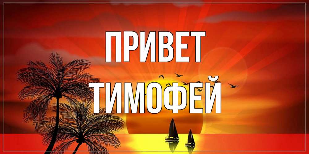 Открытка на каждый день с именем, Тимофей Привет привет Прикольная открытка с пожеланием онлайн скачать бесплатно 