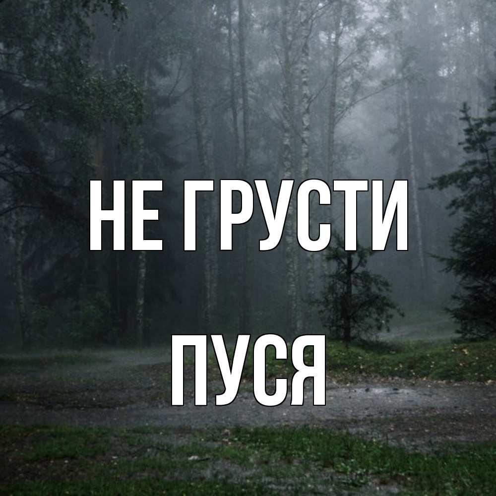 Открытка на каждый день с именем, Пуся Не грусти осень Прикольная открытка с пожеланием онлайн скачать бесплатно 