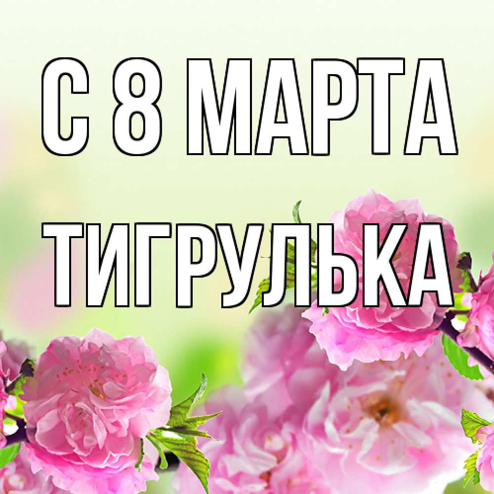 Открытка на каждый день с именем, тигрулька C 8 МАРТА цветы Прикольная открытка с пожеланием онлайн скачать бесплатно 
