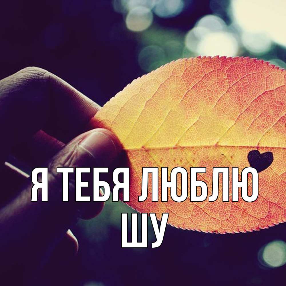 Открытка на каждый день с именем, Шу Я тебя люблю держу лист Прикольная открытка с пожеланием онлайн скачать бесплатно 