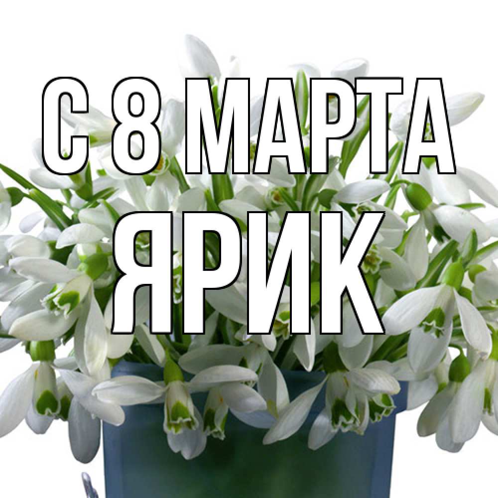 Открытка на каждый день с именем, Ярик C 8 МАРТА цветы к международному женскому дню Прикольная открытка с пожеланием онлайн скачать бесплатно 