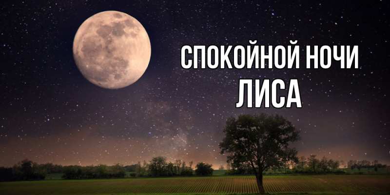 Картинка Спокойной ночи, лиса