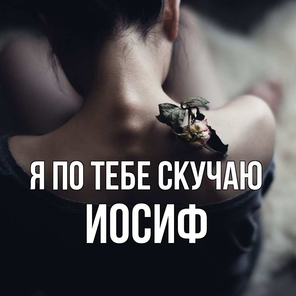 Открытка на каждый день с именем, Иосиф Я по тебе скучаю засох цветок Прикольная открытка с пожеланием онлайн скачать бесплатно 