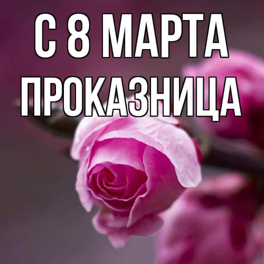 Открытка на каждый день с именем, Проказница C 8 МАРТА весна Прикольная открытка с пожеланием онлайн скачать бесплатно 