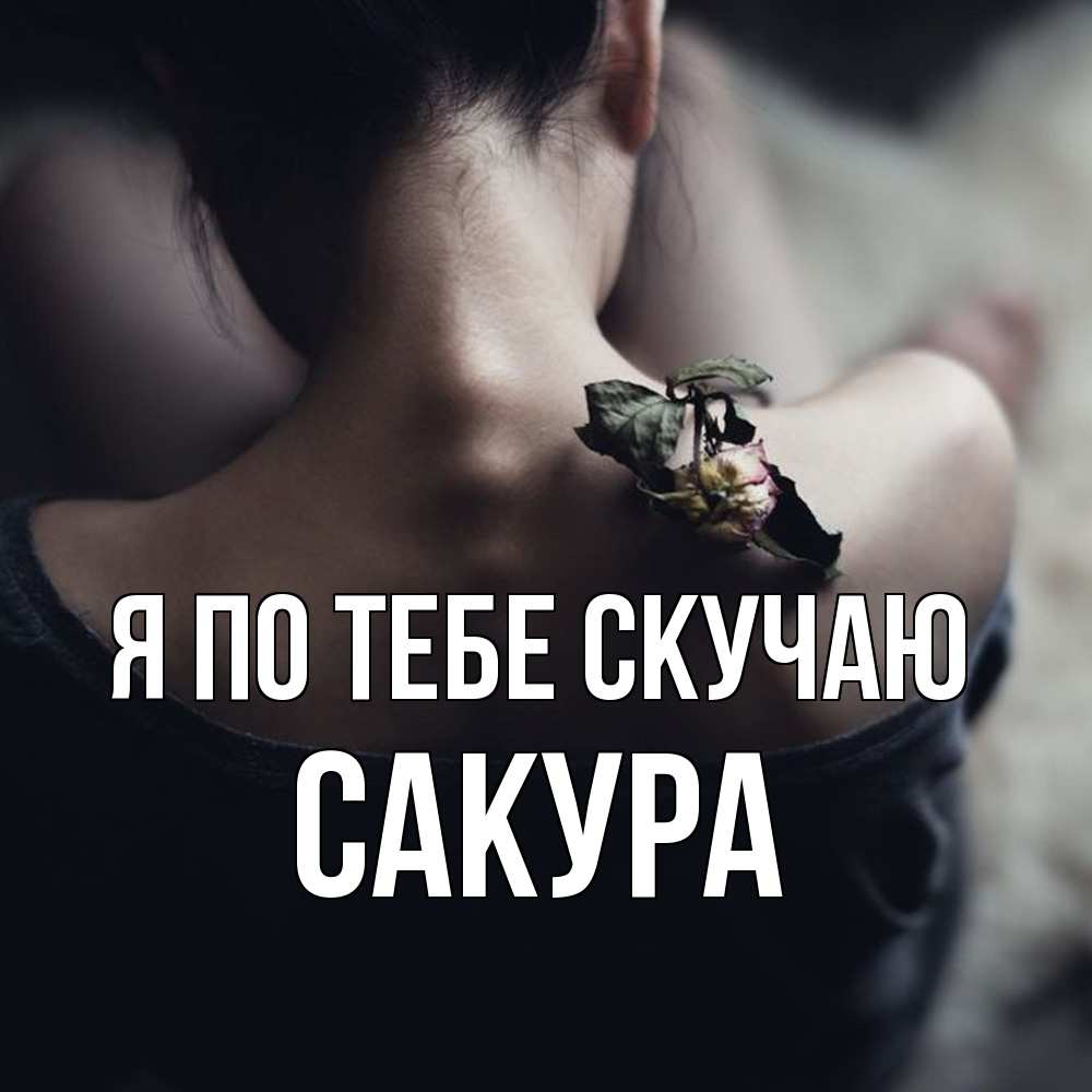 Открытка на каждый день с именем, Сакура Я по тебе скучаю засох цветок Прикольная открытка с пожеланием онлайн скачать бесплатно 