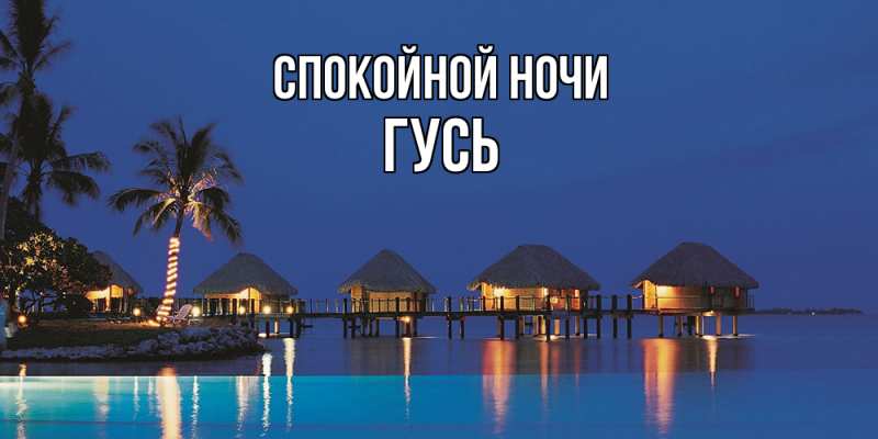 Картинка Спокойной ночи, Гусь