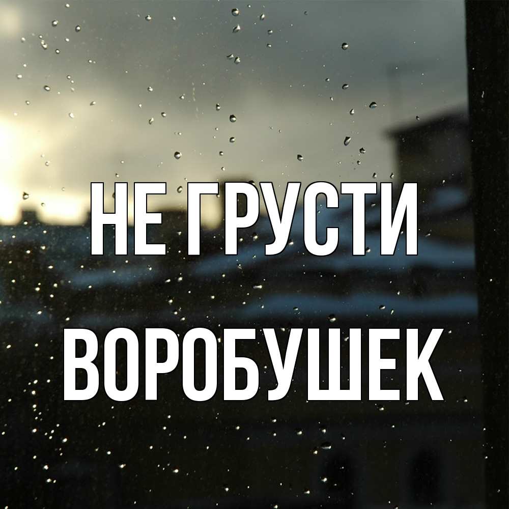 Открытка на каждый день с именем, Воробушек Не грусти вид на крыши Прикольная открытка с пожеланием онлайн скачать бесплатно 