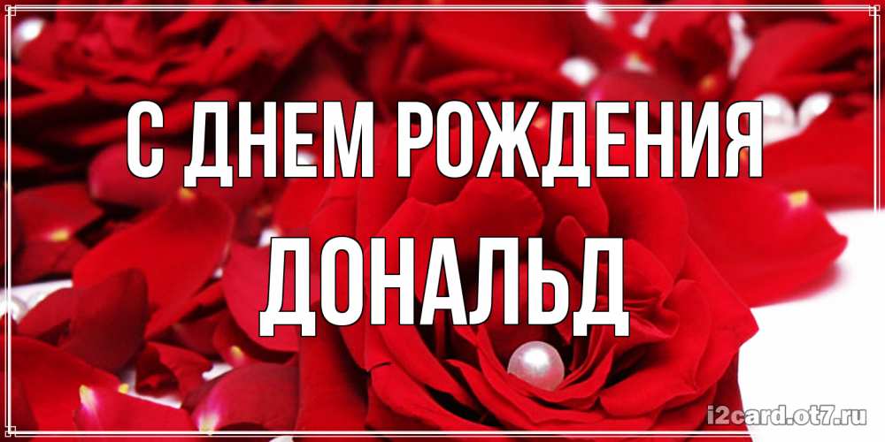 Открытка на каждый день с именем, Дональд С днем рождения роза с жемчужиной на открытке для любимых Прикольная открытка с пожеланием онлайн скачать бесплатно 