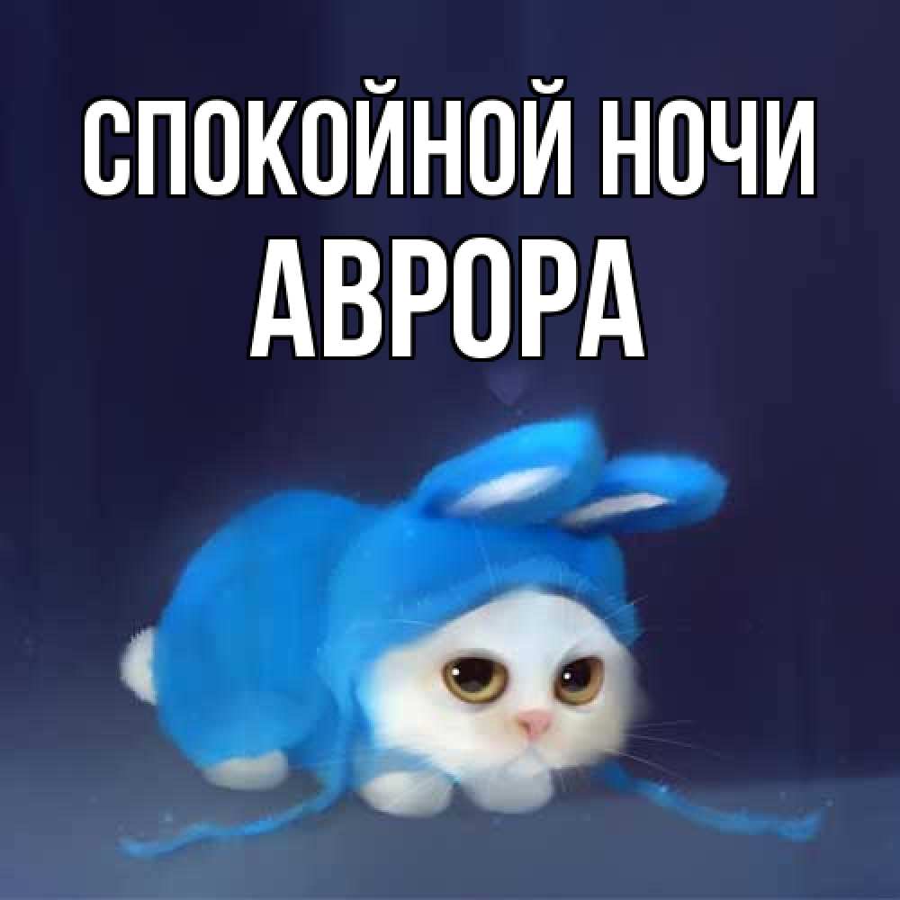 Открытка на каждый день с именем, Аврора Спокойной ночи кот в голубом костюме кролика с ушками Прикольная открытка с пожеланием онлайн скачать бесплатно 
