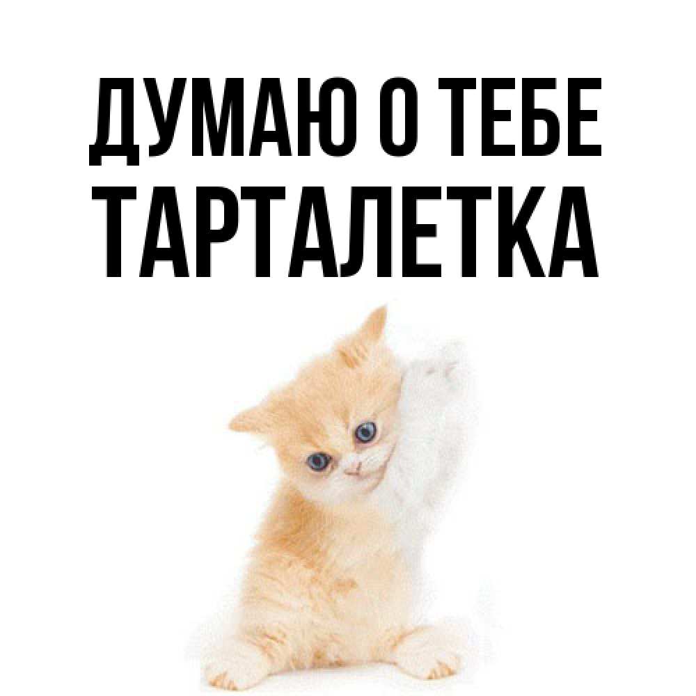 Открытка на каждый день с именем, Тарталетка Думаю о тебе зверушки и милота Прикольная открытка с пожеланием онлайн скачать бесплатно 