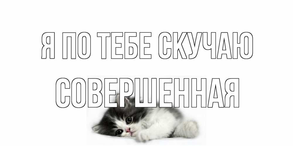 Открытка на каждый день с именем, Совершенная Я по тебе скучаю кот, скука Прикольная открытка с пожеланием онлайн скачать бесплатно 