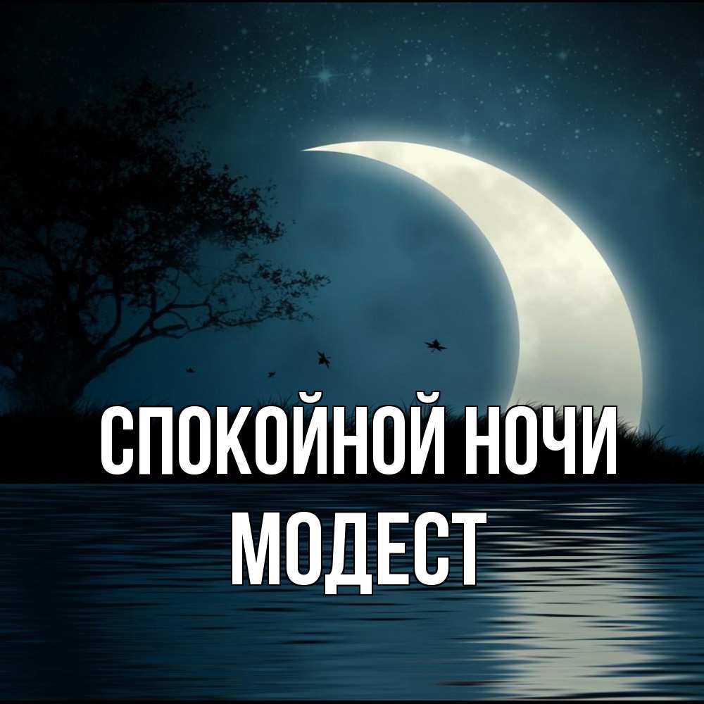 Открытка на каждый день с именем, Модест Спокойной ночи вода Прикольная открытка с пожеланием онлайн скачать бесплатно 
