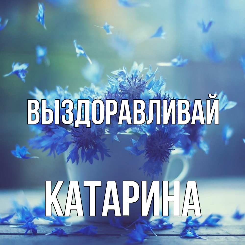 Открытка на каждый день с именем, Катарина Выздоравливай кружка с зельем и цветами Прикольная открытка с пожеланием онлайн скачать бесплатно 
