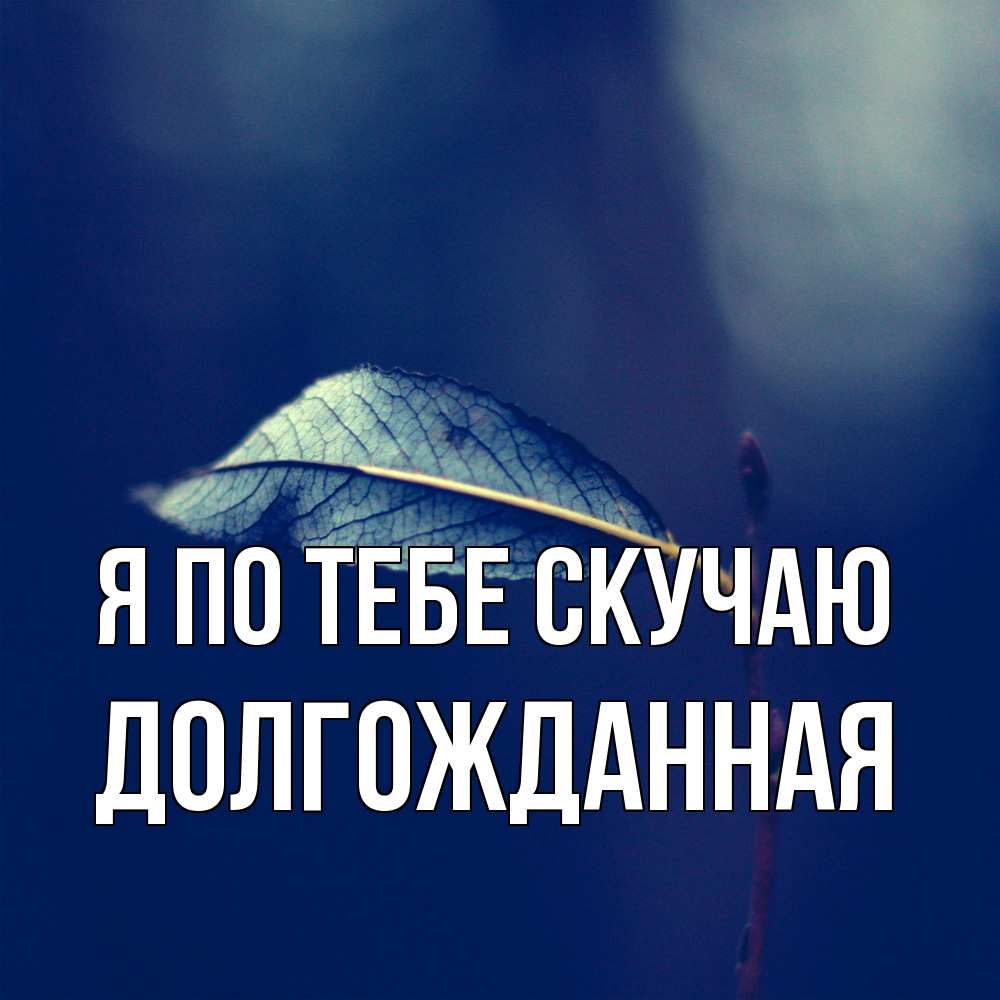Открытка на каждый день с именем, Долгожданная Я по тебе скучаю одна ветка 1 Прикольная открытка с пожеланием онлайн скачать бесплатно 