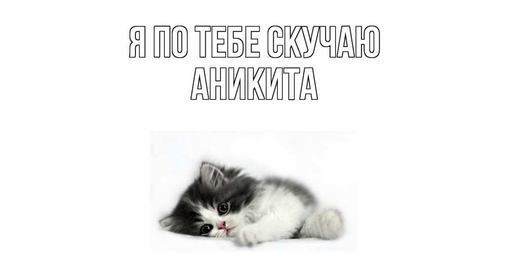 Открытка на каждый день с именем, Аникита Я по тебе скучаю кот, скука Прикольная открытка с пожеланием онлайн скачать бесплатно 