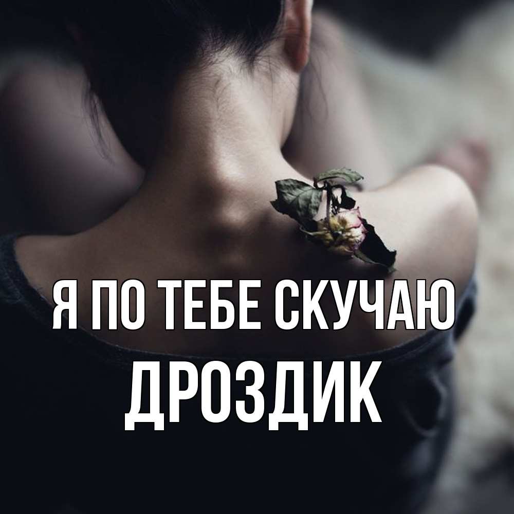 Открытка на каждый день с именем, Дроздик Я по тебе скучаю засох цветок Прикольная открытка с пожеланием онлайн скачать бесплатно 