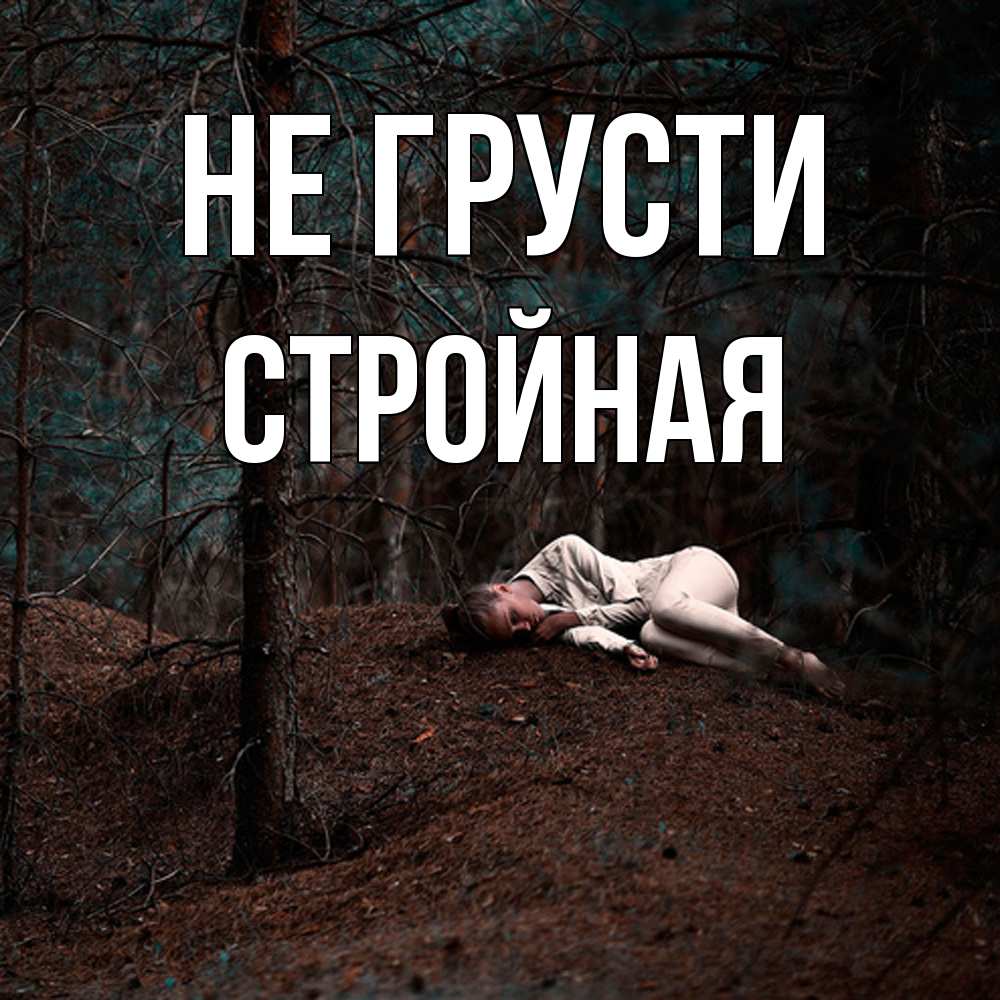 Открытка на каждый день с именем, Стpойная Не грусти лес Прикольная открытка с пожеланием онлайн скачать бесплатно 