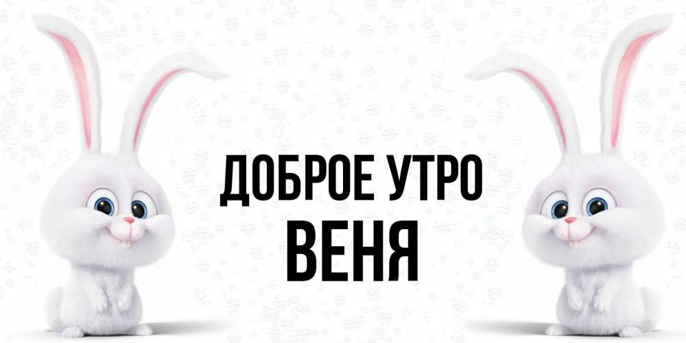 Открытка на каждый день с именем, Веня Доброе утро кролики с длинными ушками Прикольная открытка с пожеланием онлайн скачать бесплатно 