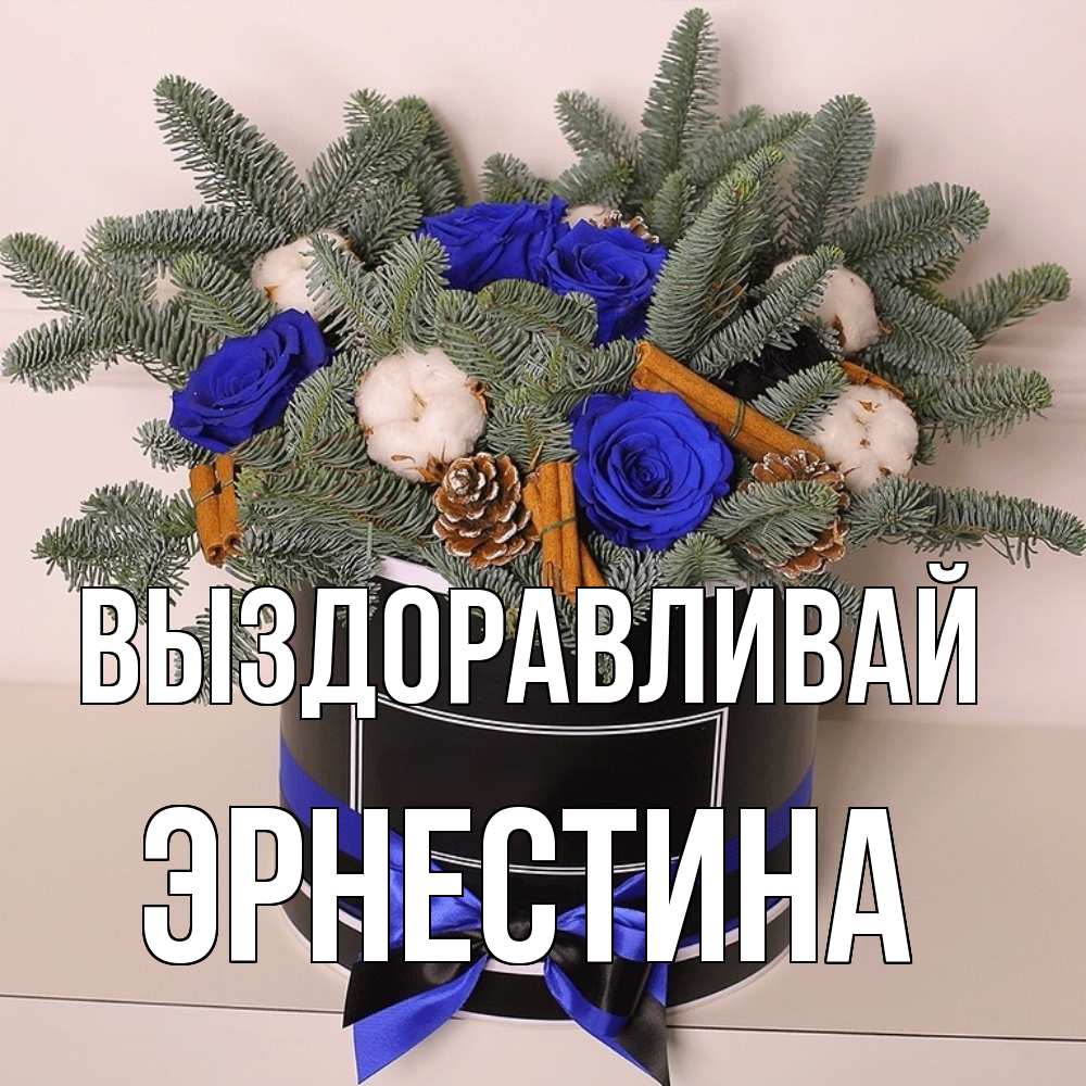 Открытка на каждый день с именем, Эрнестина Выздоравливай короче кто то загрузил эти шишки Прикольная открытка с пожеланием онлайн скачать бесплатно 