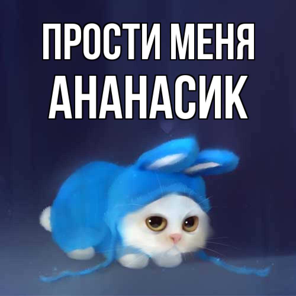 Открытка на каждый день с именем, ананасик Прости меня невинный котозай просит прощения Прикольная открытка с пожеланием онлайн скачать бесплатно 