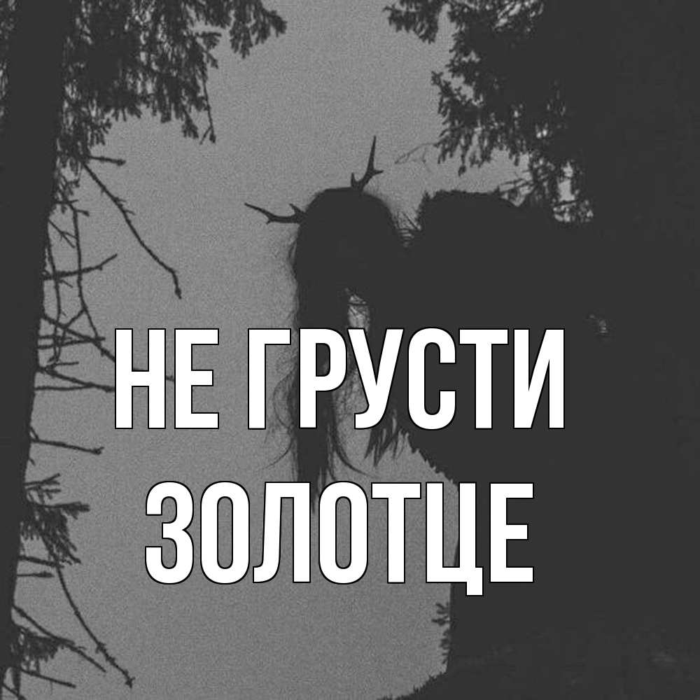 Открытка на каждый день с именем, Золотце Не грусти чудище лесное Прикольная открытка с пожеланием онлайн скачать бесплатно 