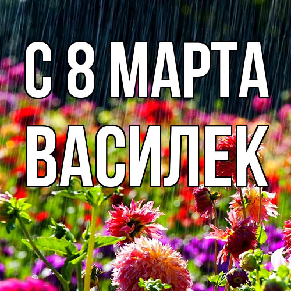Открытка на каждый день с именем, василек C 8 МАРТА цветы под дождиком к международному женскому дню Прикольная открытка с пожеланием онлайн скачать бесплатно 