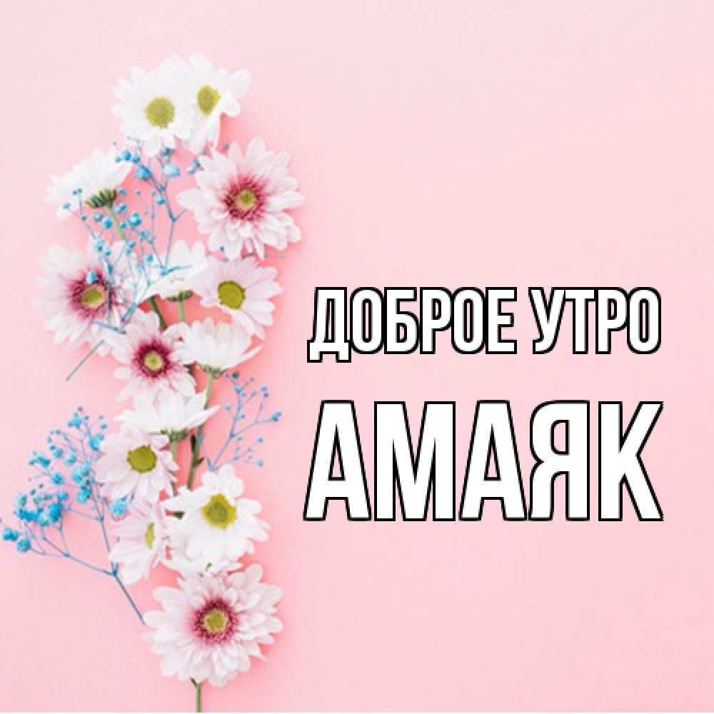 Открытка на каждый день с именем, Амаяк Доброе утро цветы с подписью Прикольная открытка с пожеланием онлайн скачать бесплатно 