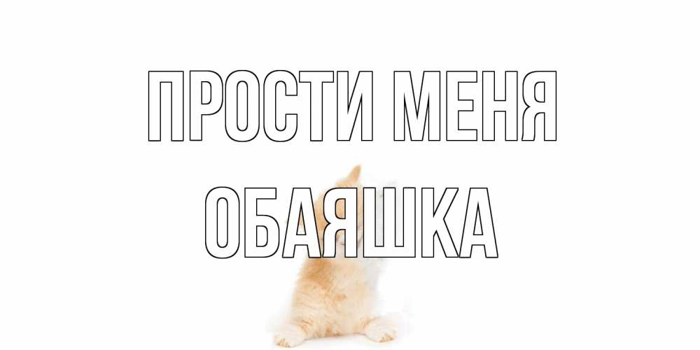 Открытка на каждый день с именем, обаяшка Прости меня кот Прикольная открытка с пожеланием онлайн скачать бесплатно 