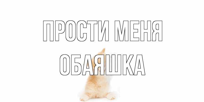 Картинка Прости меня, обаяшка